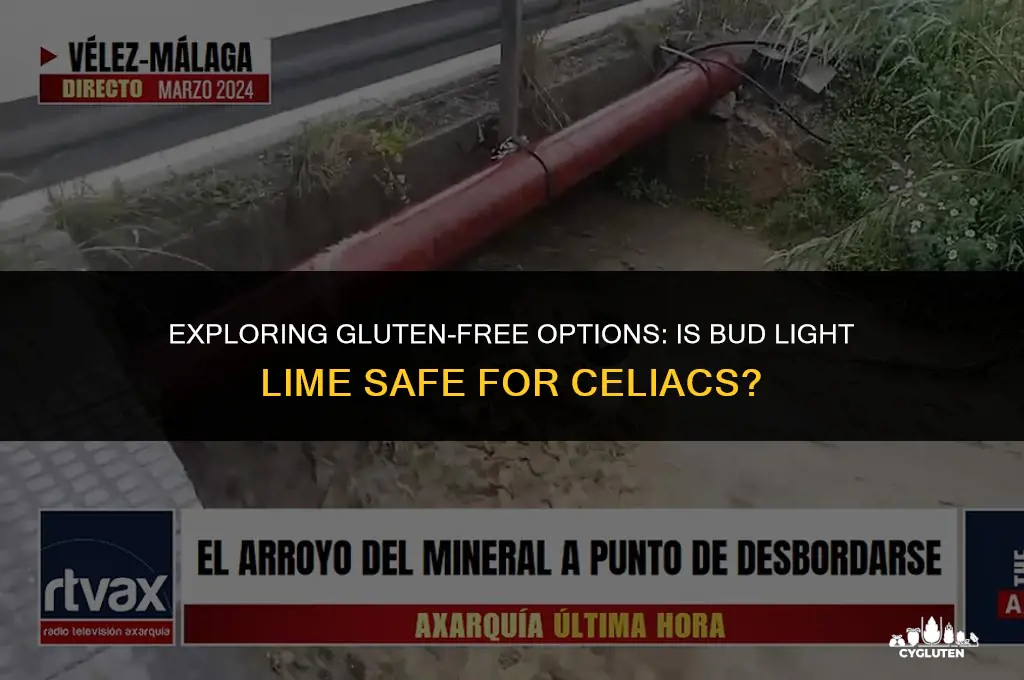 is bud lime gluten free