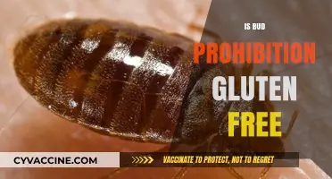 Exploring Gluten-Free Options: Is Bud Prohibition Beer Safe for Celiacs?