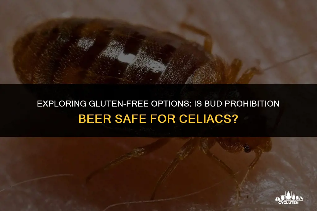 is bud prohibition gluten free