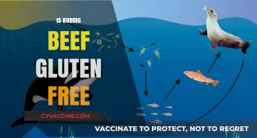 Exploring Gluten-Free Options: Is Buddig Beef the Answer?