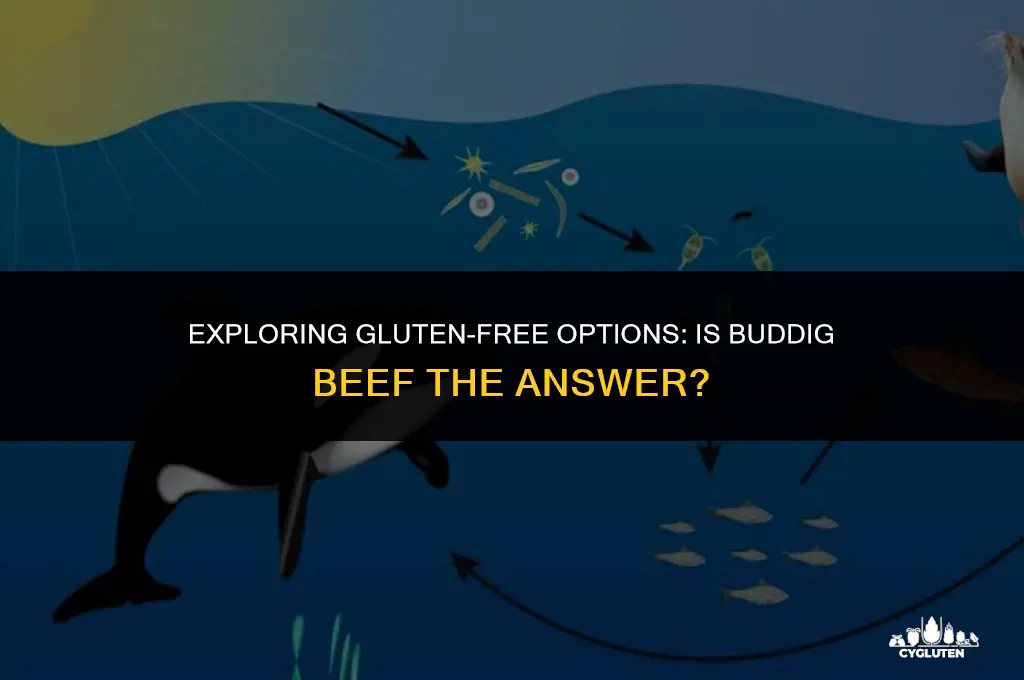 is buddig beef gluten free