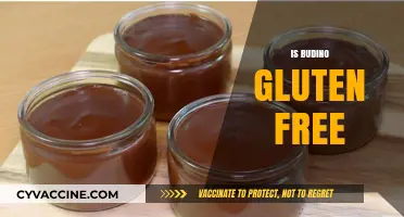 Is Budino Gluten-Free? A Dessert Lover's Guide to Safe Indulgence
