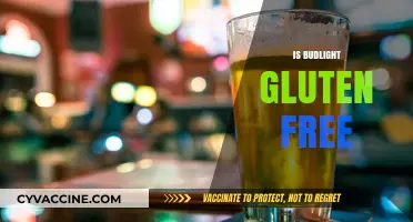 Is Bud Light Gluten-Free? A Complete Guide for Beer Lovers