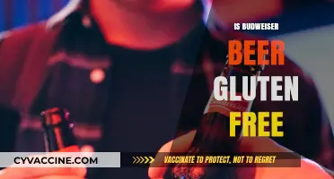 Is Budweiser Gluten-Free? Uncovering the Truth About This Popular Beer