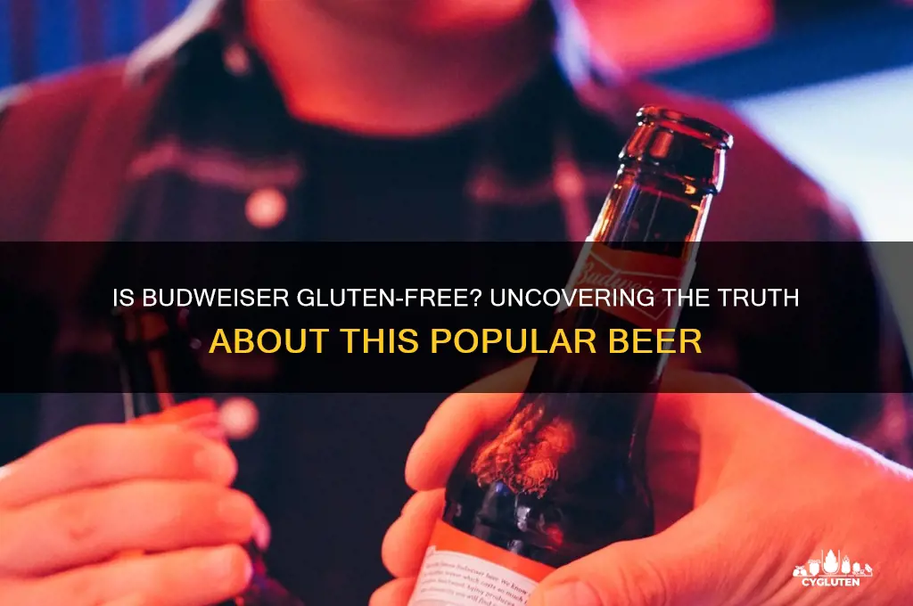is budweiser beer gluten free