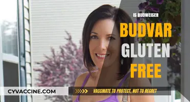 Exploring Gluten-Free Options: Is Budweiser Budvar Safe for Celiacs?