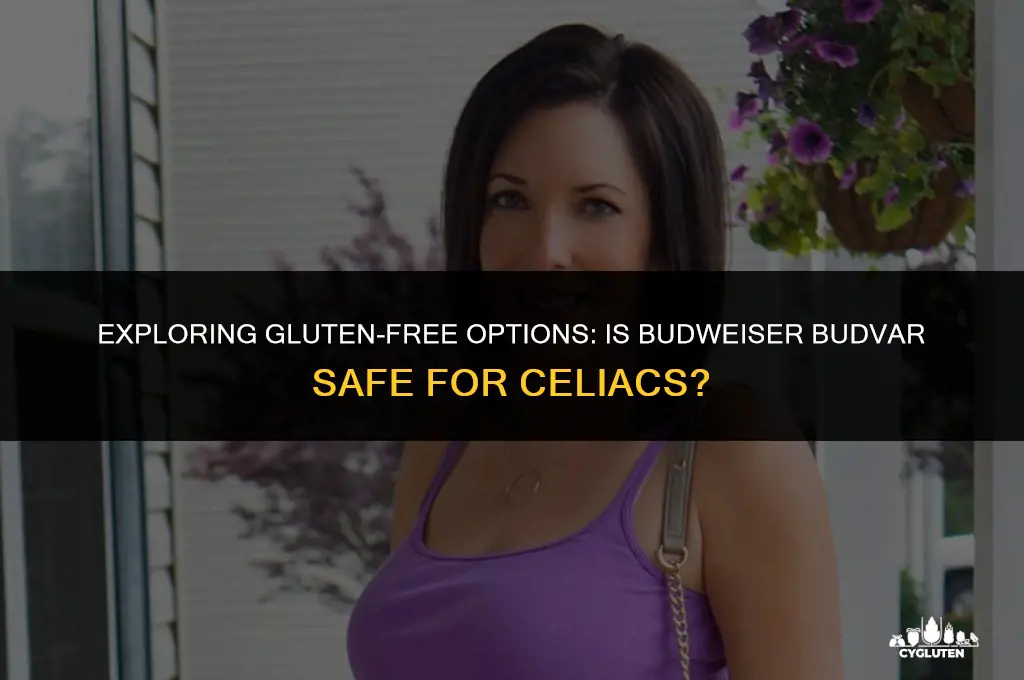 is budweiser budvar gluten free