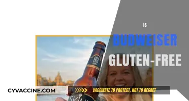 Is Budweiser Gluten-Free? Uncovering the Truth for Beer Lovers
