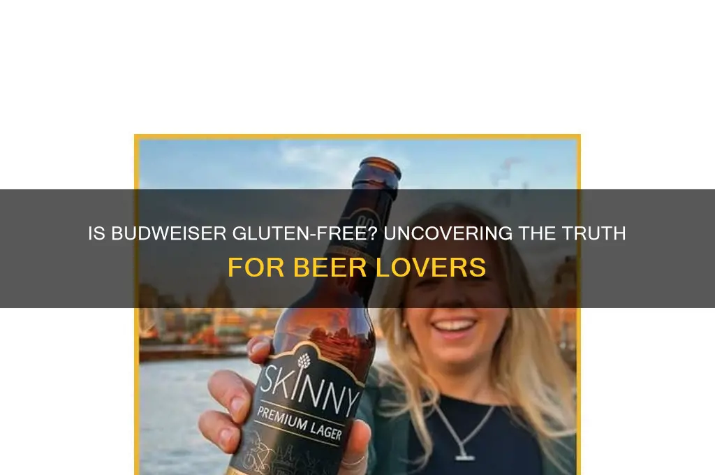 is budweiser gluten-free