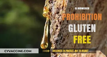 Exploring Budweiser Prohibition: Is It Truly Gluten-Free?