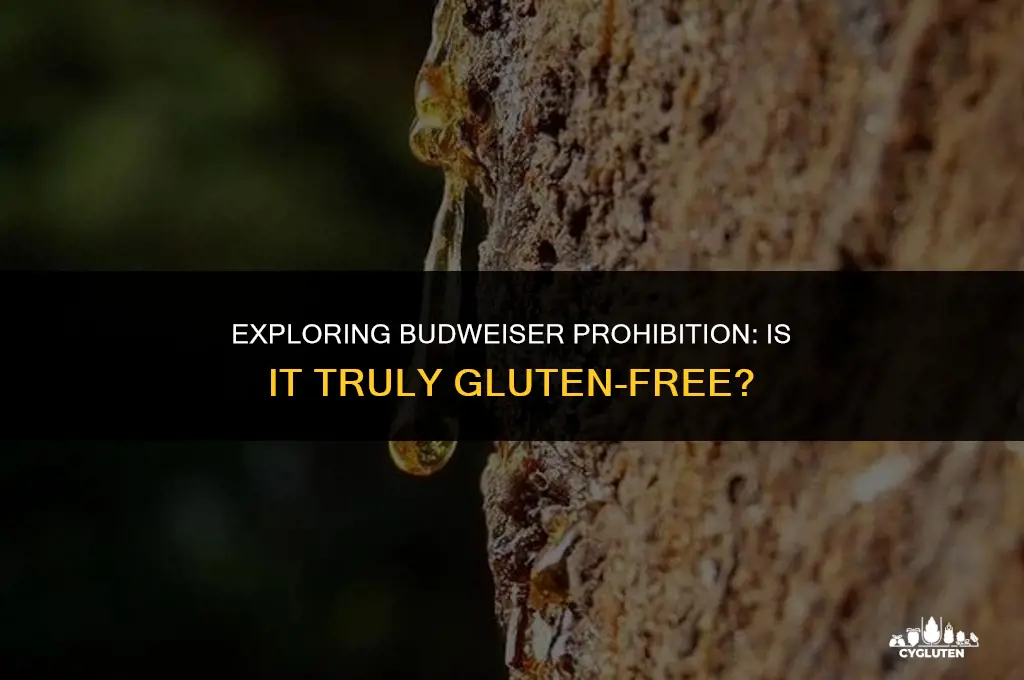 is budweiser prohibition gluten free
