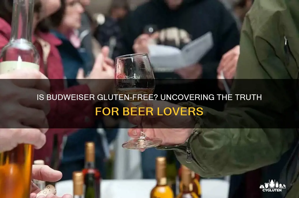 is budwiser gluten free