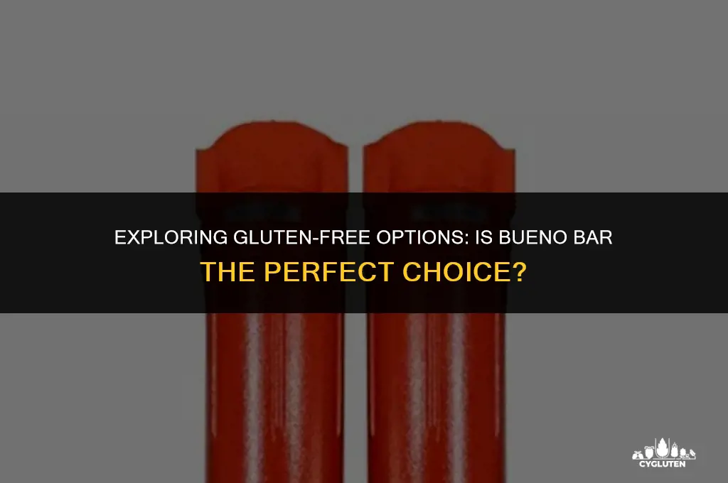 is bueno bar gluten free