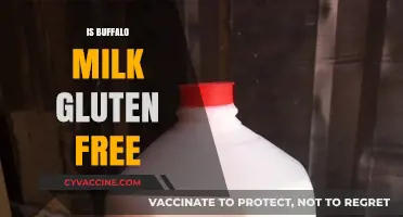 Exploring Buffalo Milk: A Gluten-Free Dairy Alternative?