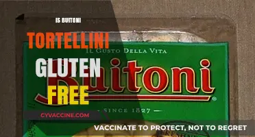 Exploring Gluten-Free Options: Buitoni Tortellini Under the Microscope