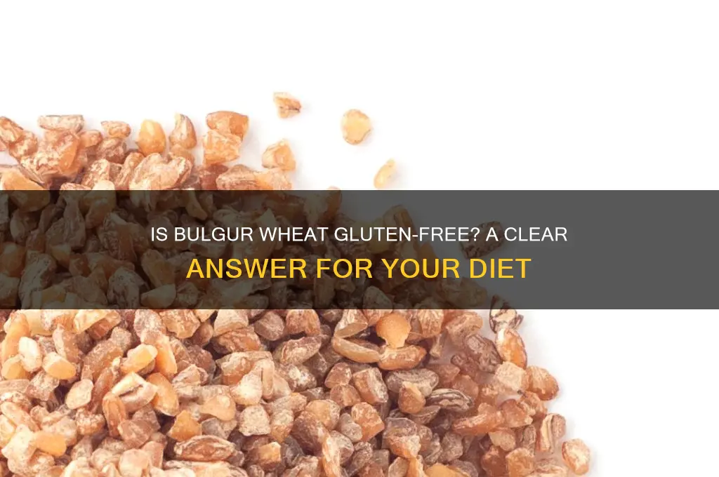 is bulgar wheat gluten free