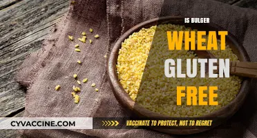 Exploring the Gluten-Free Status of Bulger Wheat: A Comprehensive Guide