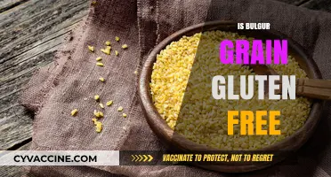 Exploring Bulgur Grain: A Gluten-Free Option for Your Diet