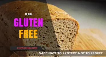 Is Bun Gluten-Free? A Comprehensive Guide to Gluten-Free Bread Options