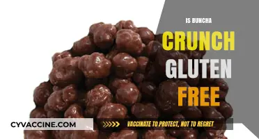 Is Buncha Crunch Gluten-Free? A Sweet Snack Fact Check