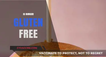 Are Burgers Gluten-Free? A Guide to Safe Fast Food Options