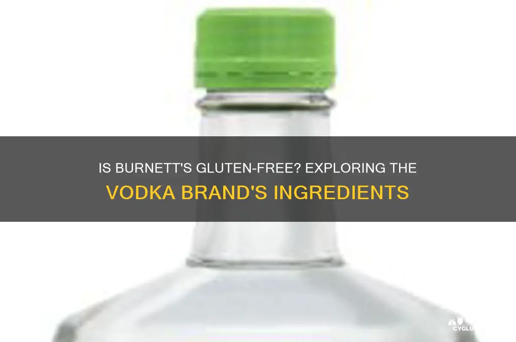 is burnetts gluten free