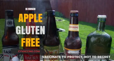 Is Busch Apple Gluten-Free? A Complete Guide for Beer Lovers