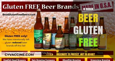 Exploring Gluten-Free Options: Is Busch Beer a Safe Choice?