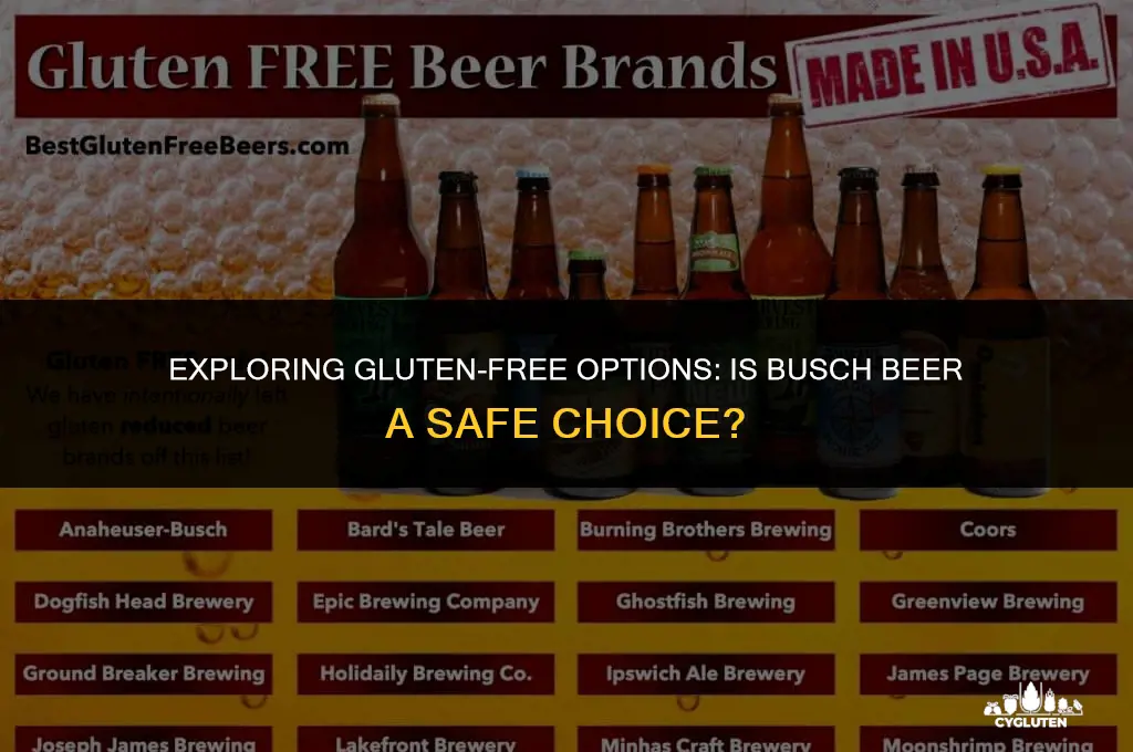is busch beer gluten free