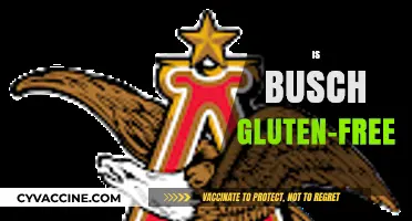 Is Busch Gluten-Free? Exploring the Beer's Ingredients and Safety