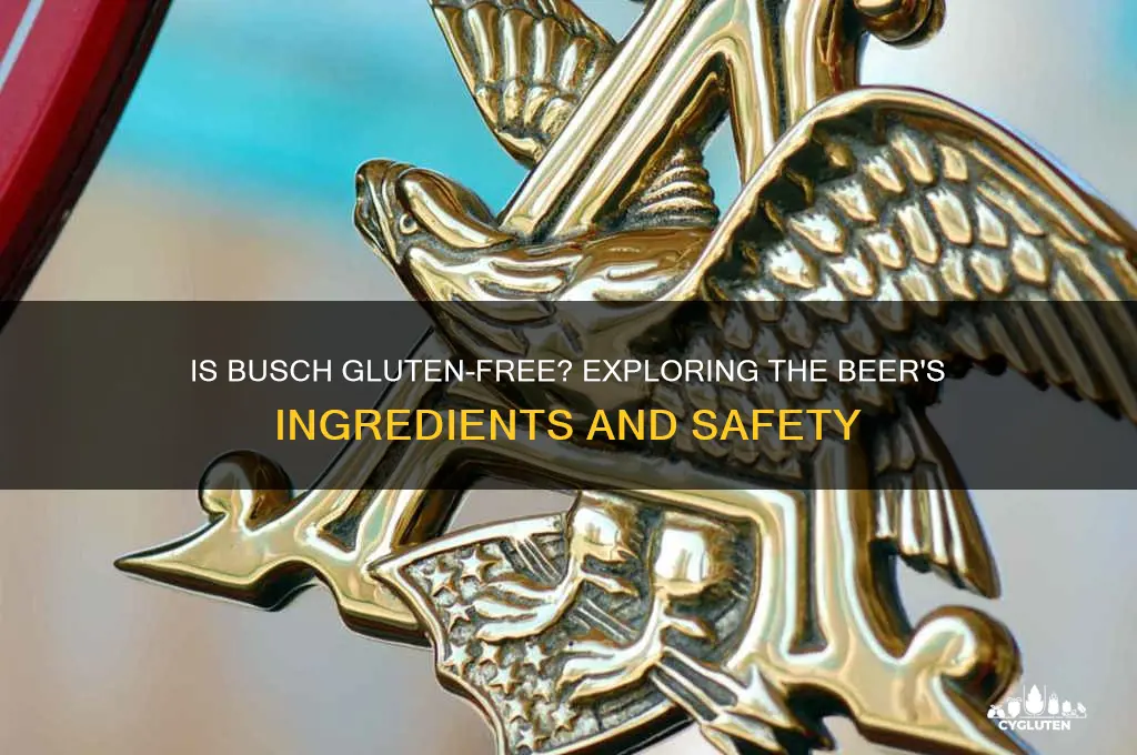 is busch gluten-free