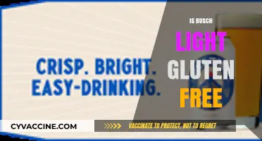Busch Light Gluten-Free? Unveiling the Truth for Beer Lovers