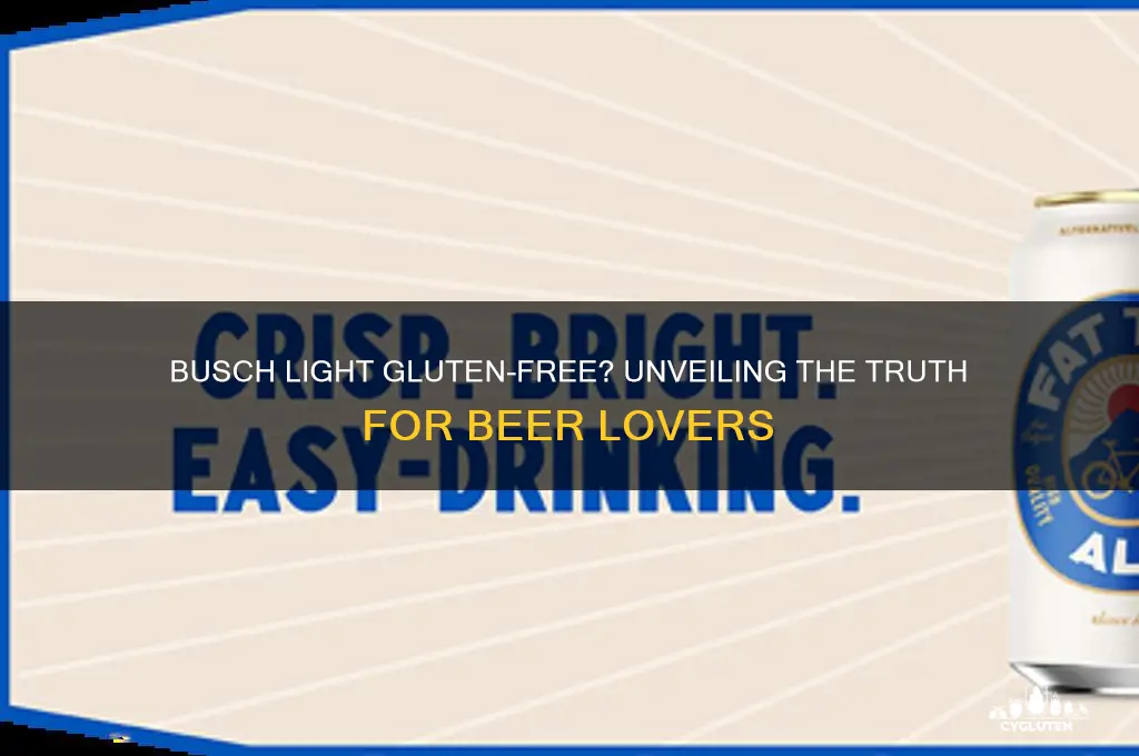 is busch light gluten free