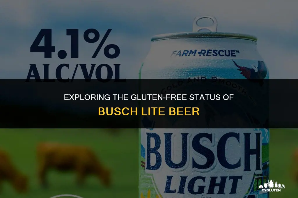 is busch lite gluten free