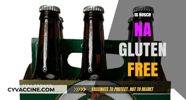 Exploring Busch NA: Your Guide to Gluten-Free Beer Options