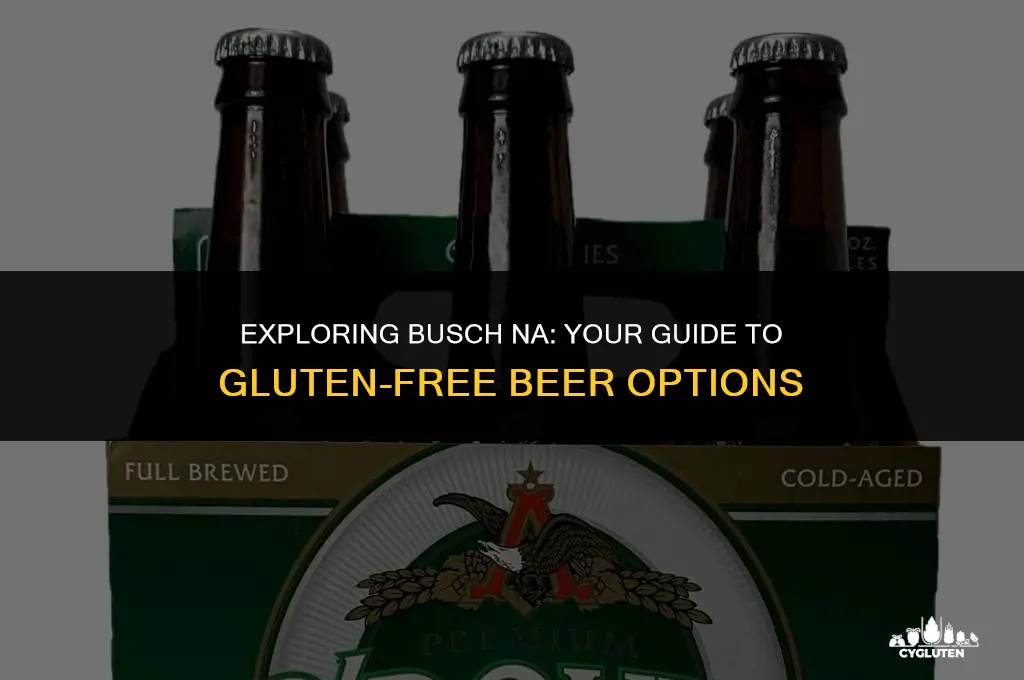 is busch na gluten free