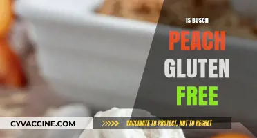 Exploring Gluten-Free Options: Is Busch Peach Beer Safe for Celiacs?