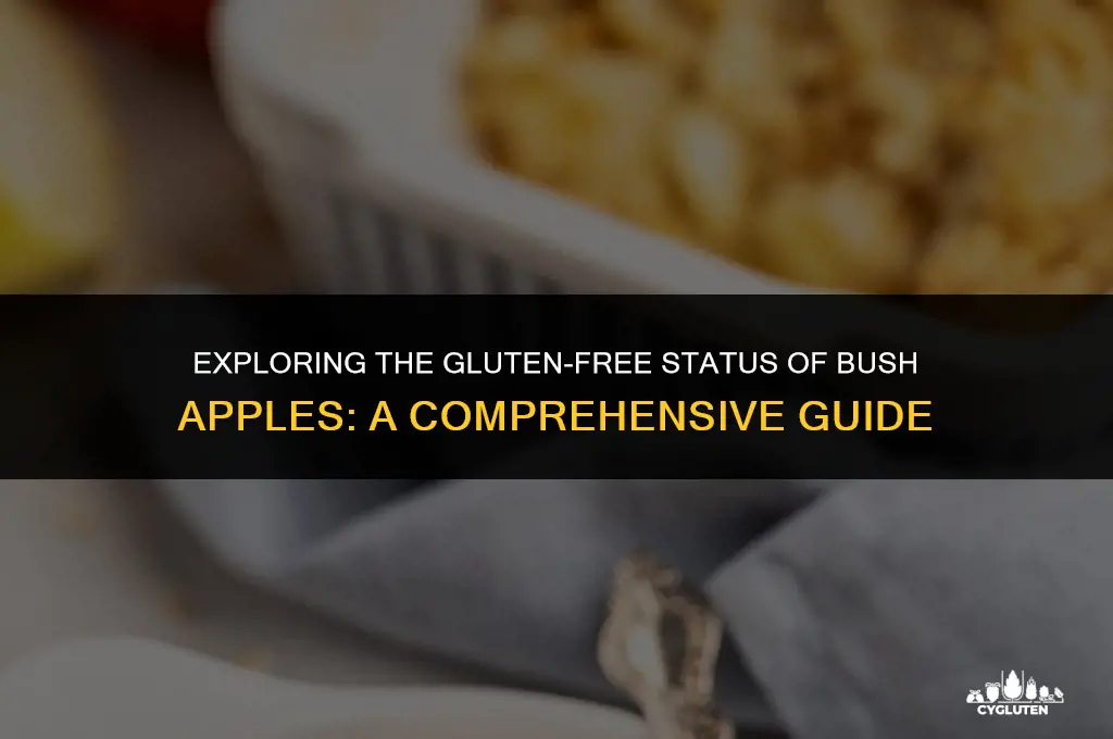 is bush apple gluten free