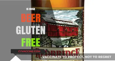 Exploring Gluten-Free Options: Is Bush Beer a Safe Choice?