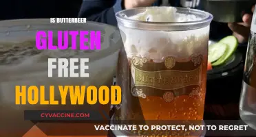 Exploring the Wizarding World: Is Butterbeer Gluten-Free in Hollywood?