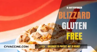 Delving into Dairy-Free Delights: Is Butterfinger Blizzard Gluten-Free?