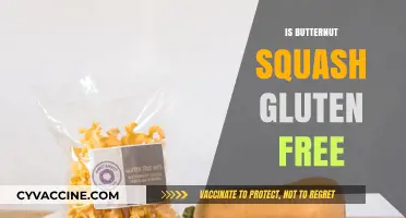 Is Butternut Squash Gluten-Free? A Complete Guide for Celiacs