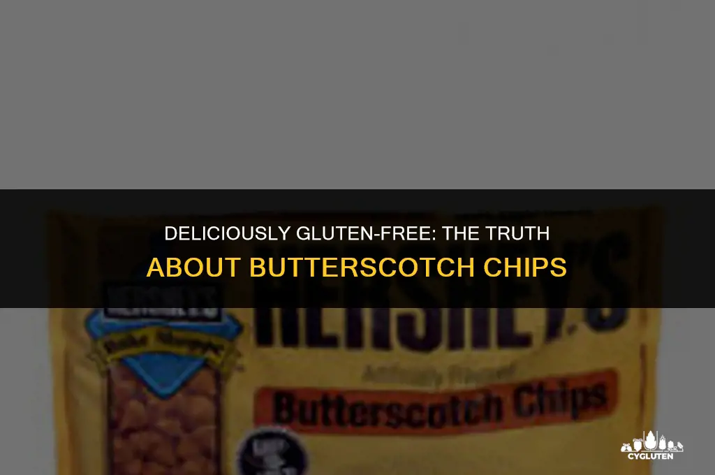 is butterscotch chips gluten free
