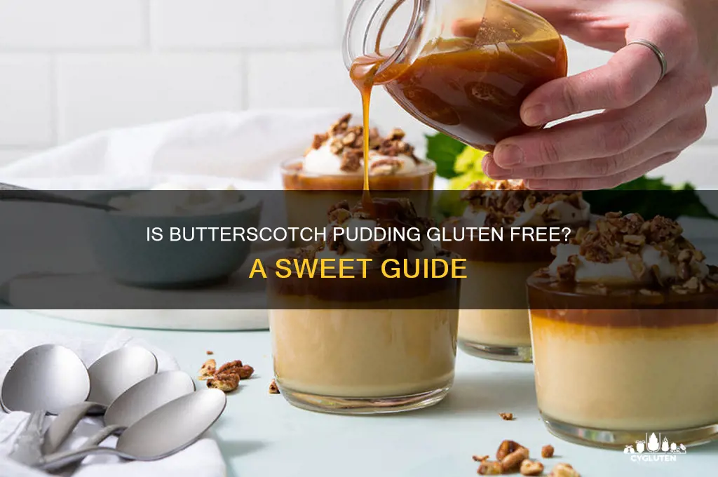 is butterscotch pudding gluten free