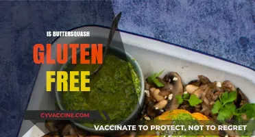 Is Butternut Squash Gluten-Free? A Complete Guide for Celiacs