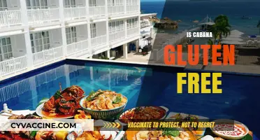 Is Cabana Gluten-Free? A Comprehensive Guide to Your Dietary Needs