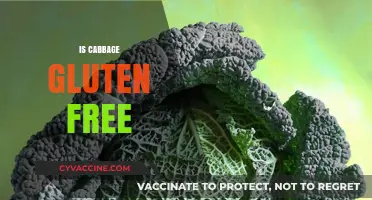 Is Cabbage Gluten-Free? A Complete Guide to Safe Eating