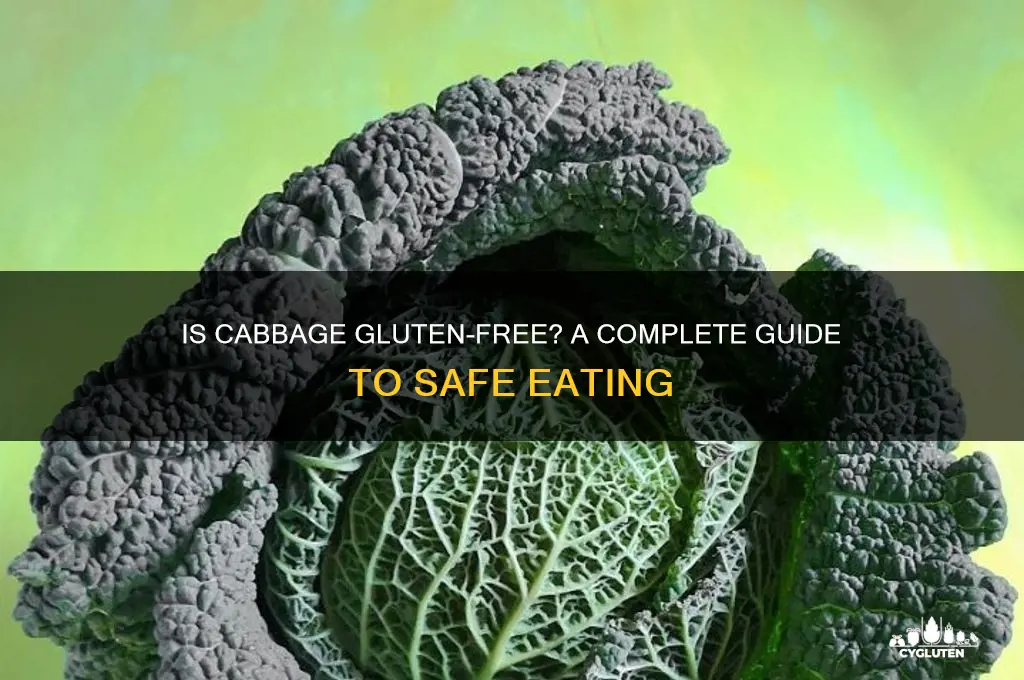 is cabbage gluten free