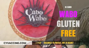Sipping Safely: The Truth About Cabo Wabo's Gluten Content