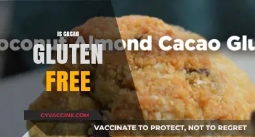 Is Cacao Gluten-Free? Uncovering the Truth for Celiac Diets
